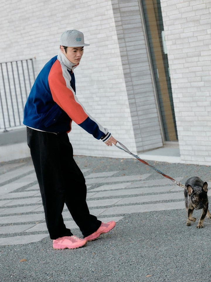 DOGS WELCOME_light gray