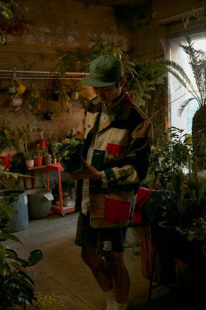 グリーンイズグッド_オリーブ