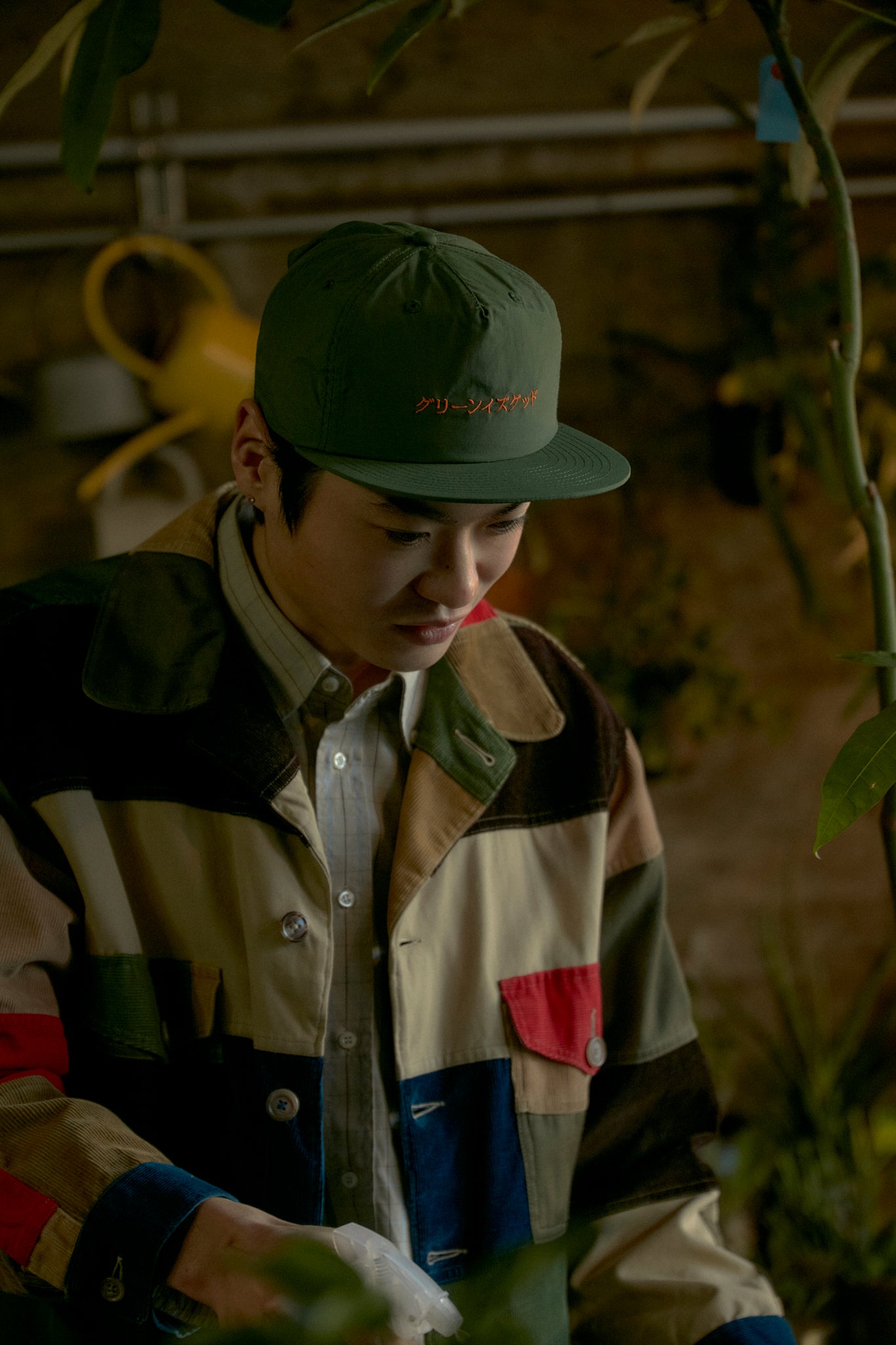 グリーンイズグッド_オリーブ