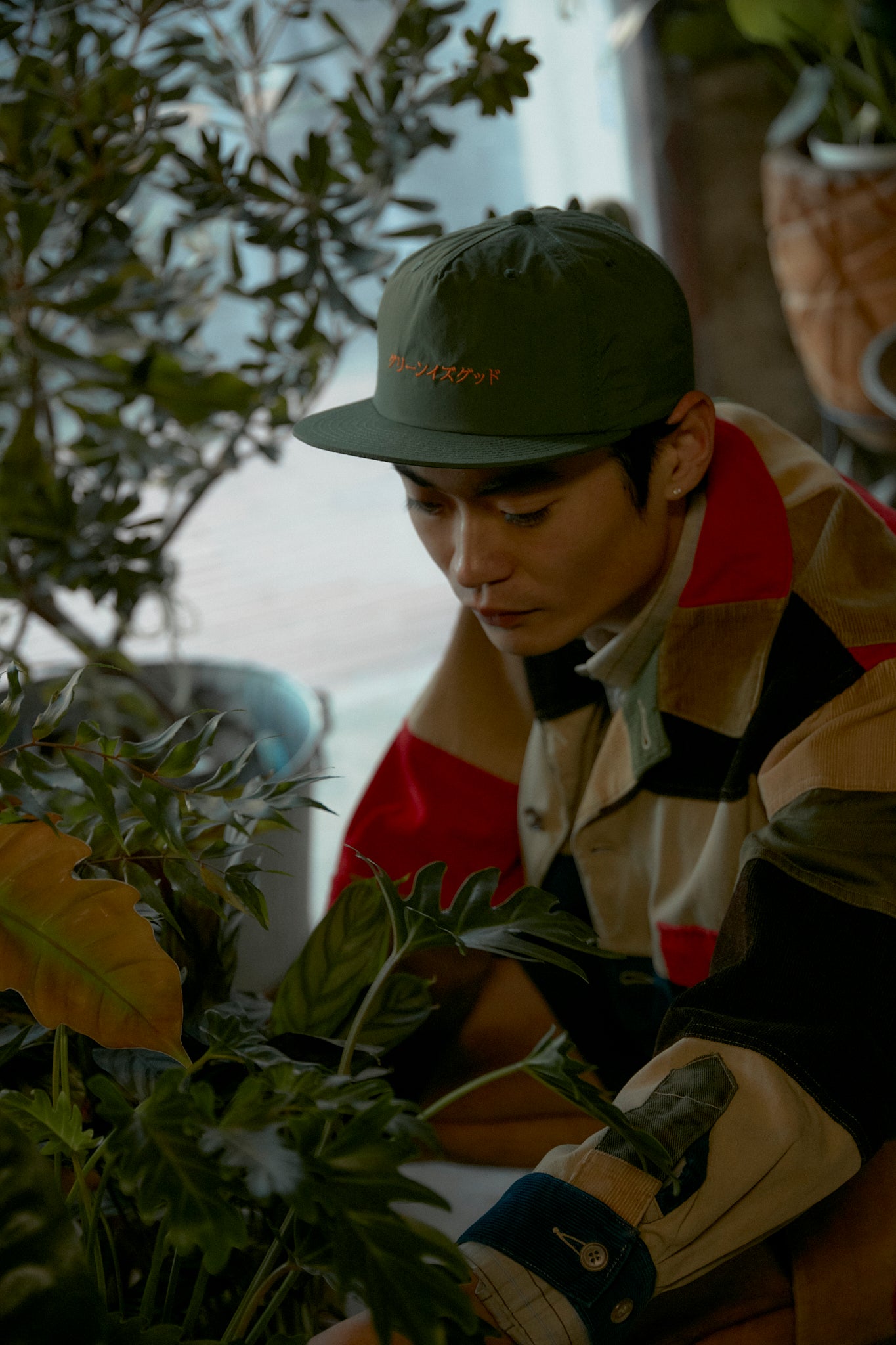 グリーンイズグッド_オリーブ